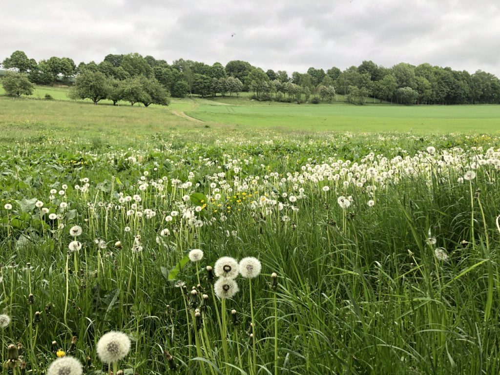 photo 2022 05 27 15 16 48